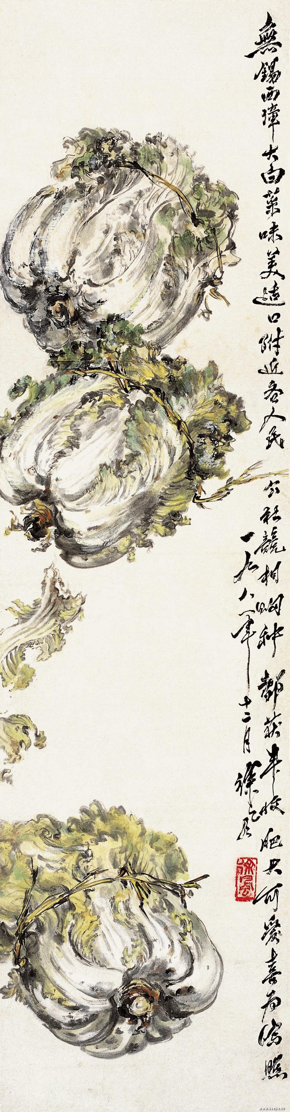 大白菜