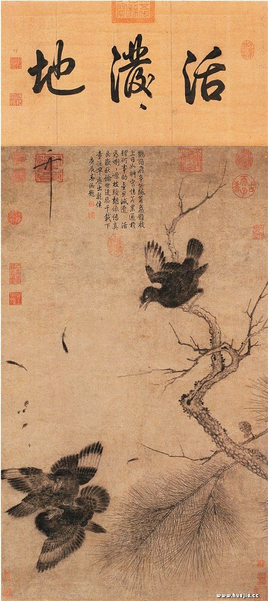 历代花鸟画的意趣浅析— 中国画家网