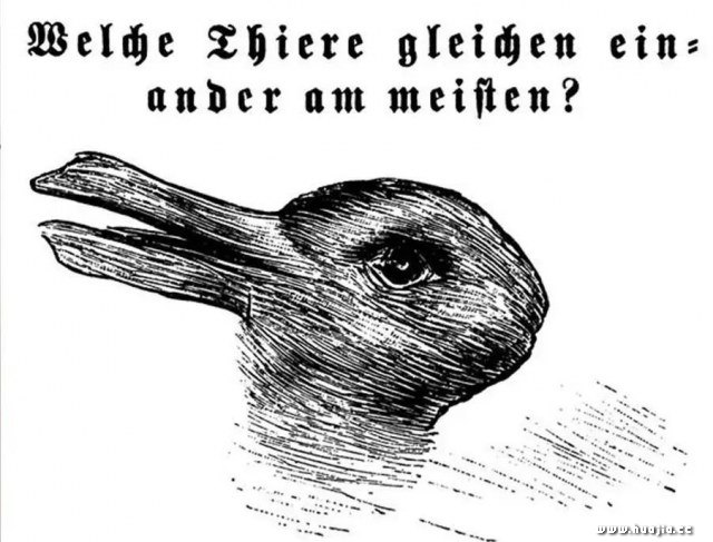640x487