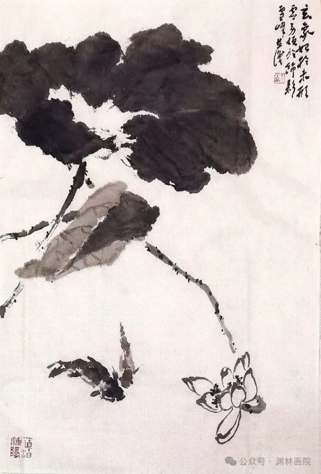 640x946