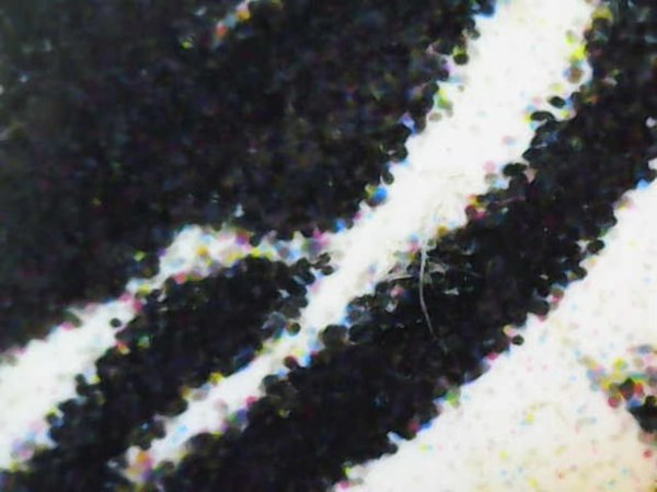 600x450