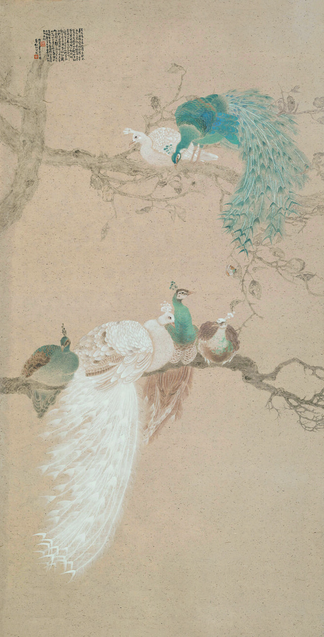 640x1256