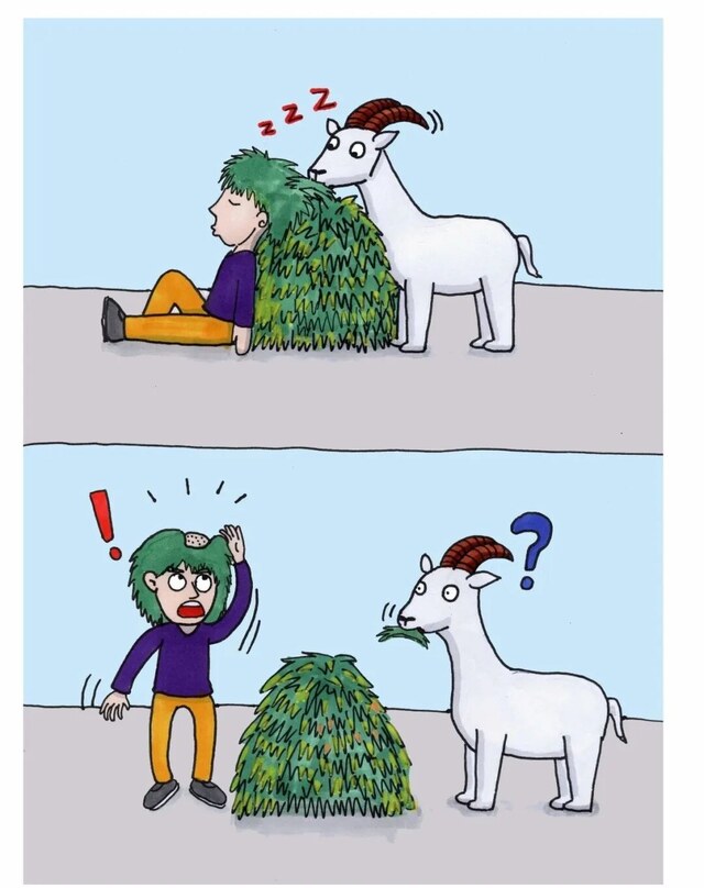 640x808