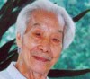 画家阳太阳