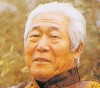 画家苏铜