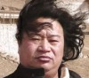 画家杨东风