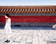 崔岫闻作品