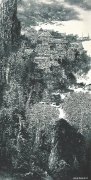 程振国作品