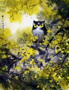 舒传曦作品