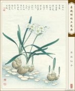 李晓明作品