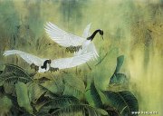 曹小民作品