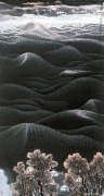 黄名芊作品