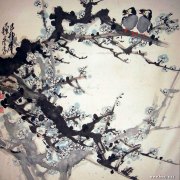 苏荐洁作品