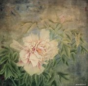 杜平让作品