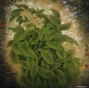 杜平让作品
