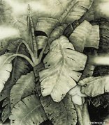 金晓海作品