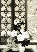 金晓海作品