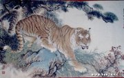 梅尚白作品