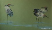 陈乃秋作品
