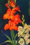 傅连友作品
