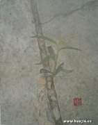 张建超作品
