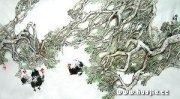 强博作品