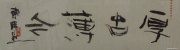 陈君超作品