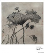 田然作品