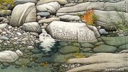 韦娜作品