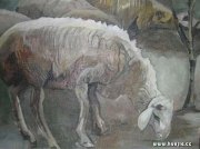 刘文京作品