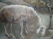 刘文京作品