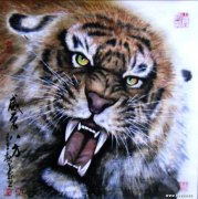 王金轩作品