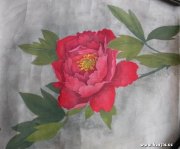 席爱华作品