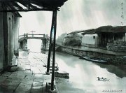 杨明义作品