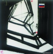 齐鹏作品