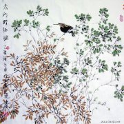张建伟作品