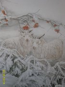 贝世福作品