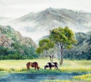 王锋作品