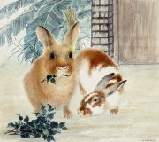 王锋作品