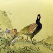 王锋作品