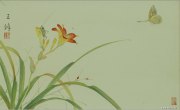 王锋作品