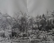 张成来作品