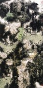 张建华作品