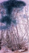 王云作品
