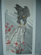 晋鹰作品