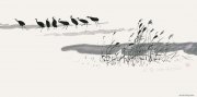 张兆明作品