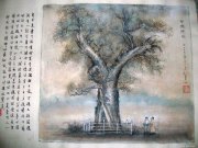 赵华南作品