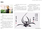 张淑兰作品