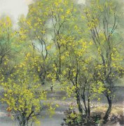 杨波作品