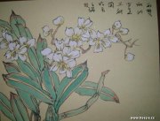 王瑞作品